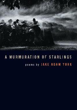 【预售】A Murmuration of Starlings