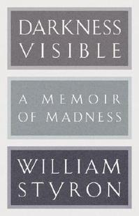 Visible Darkness Memoir Madness 预售