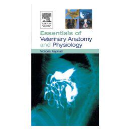 美国库房发货，通常付款后5-8周到货！