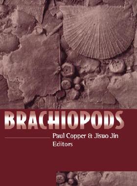 【预售】Brachiopods
