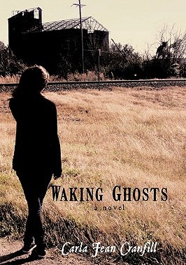 【预售】Waking Ghosts