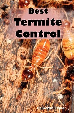 【预售】Best Termite Control: All You Need to Know about
