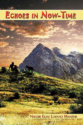 【预售】Echoes in Now-Time