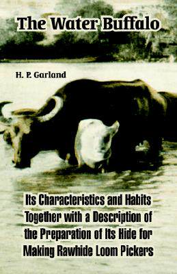 【预售】the water buffalo: its characteristics and habits
