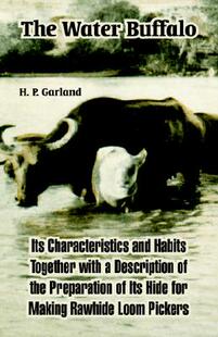 Water Buffalo Its and The Characteristics Habits 预售