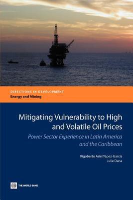 【预售】Mitigating Vulnerability to High and Volatile Oil