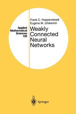 【预售】Weakly Connected Neural Networks