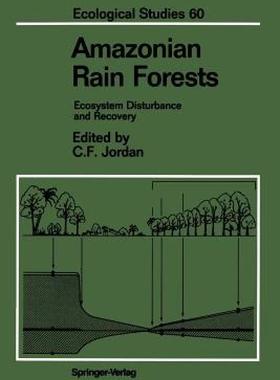 【预售】Amazonian Rain Forests: Ecosystem Disturbance and