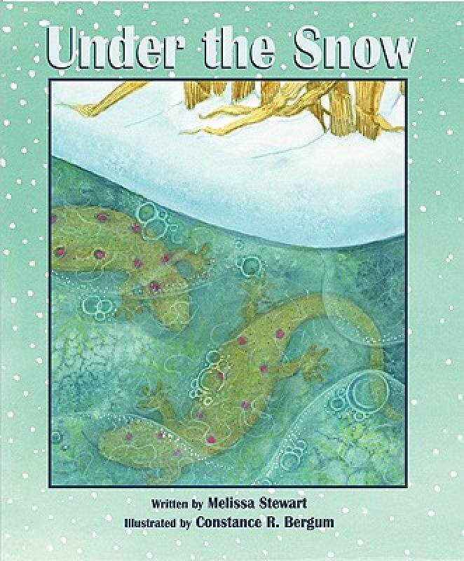 【预售】Under the Snow
