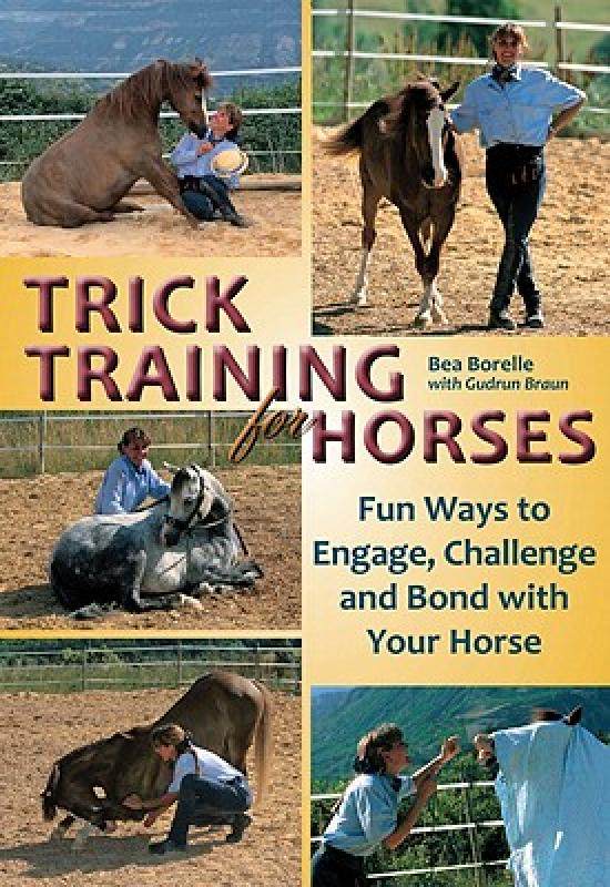 【预售】trick training for horses: fun ways to engage