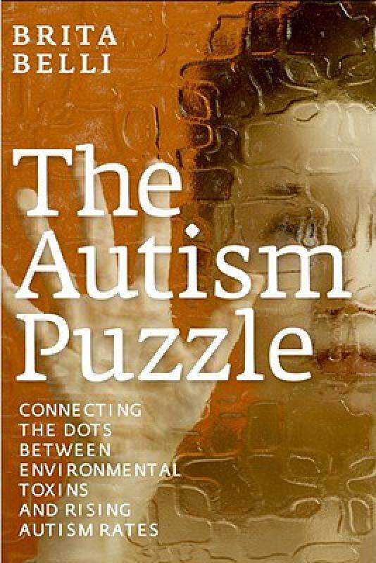 【预售】The Autism Puzzle: Connecting the Dots Between