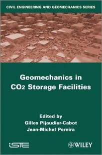 Issues Geomechanical Co2 Facilities Storage 预售