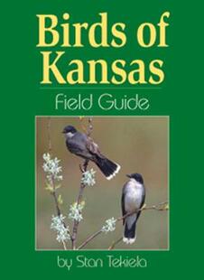 Field Guide Kansas 预售 Birds