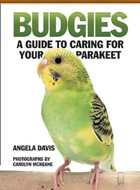 【预售】Budgies: A Guide to Caring for Your Parakeet