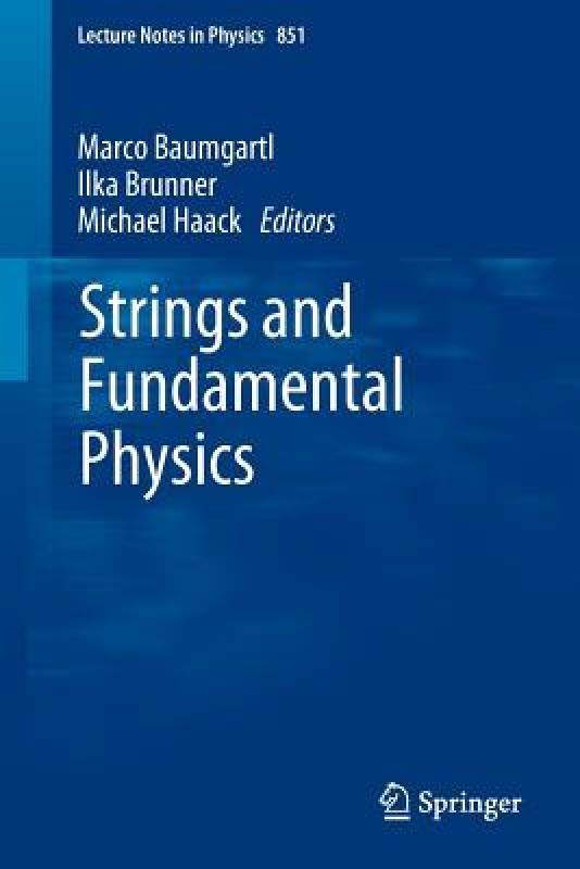 【预售】Strings and Fundamental Physics