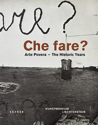 【预售】Che Fare?: Arte Povera: The Historic Years