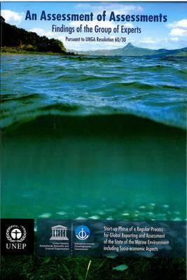 【预售】An Assessment of Assessments: Findings of the Group