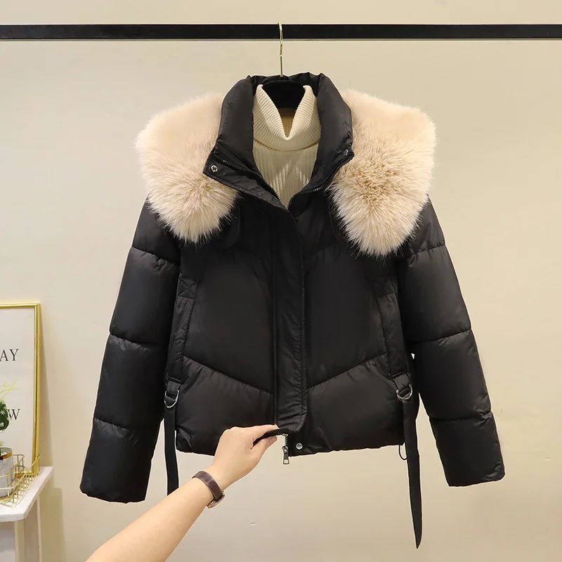 Winter Coat Female Jacket New 2024 Hooded Parka Warm Big Fur