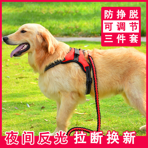 Dog leash medium large dog chain walking chest harness