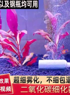 二氧化碳细化器co2雾化器低压纳米细化头不锈钢玻璃水草缸发生器
