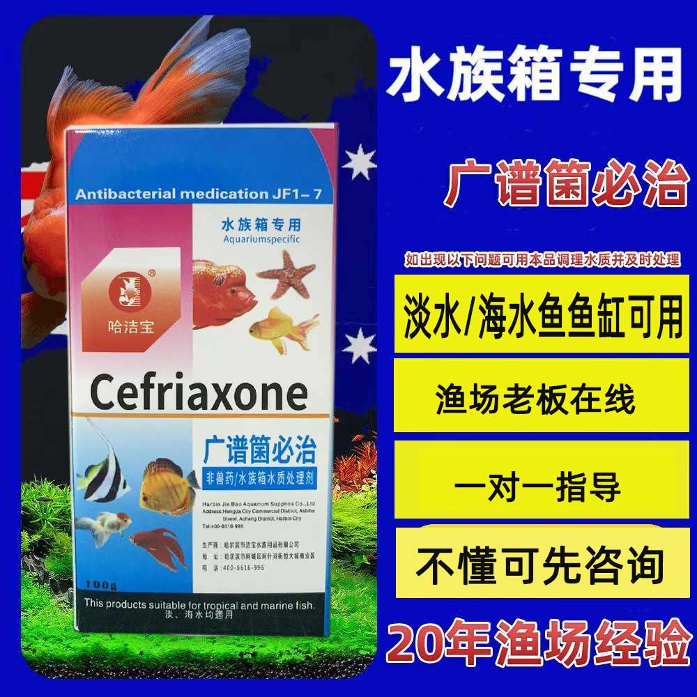 广谱菌必治观赏招财鱼蝴蝶鱼锦鲤黄粉鱼缸用鱼缸水质护理剂非鱼药