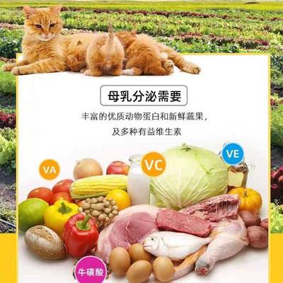 妈妈怀产期猫专哺孕乳期母孕猫猫前用后猫粮产营生产养猫GUP月子