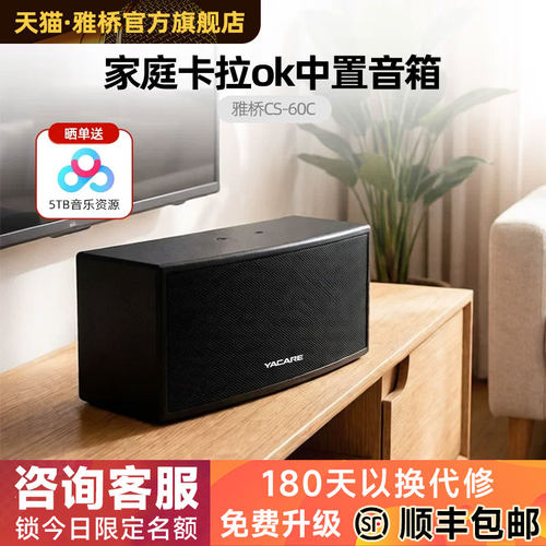 壁挂式会议音响环绕中置舞台音箱