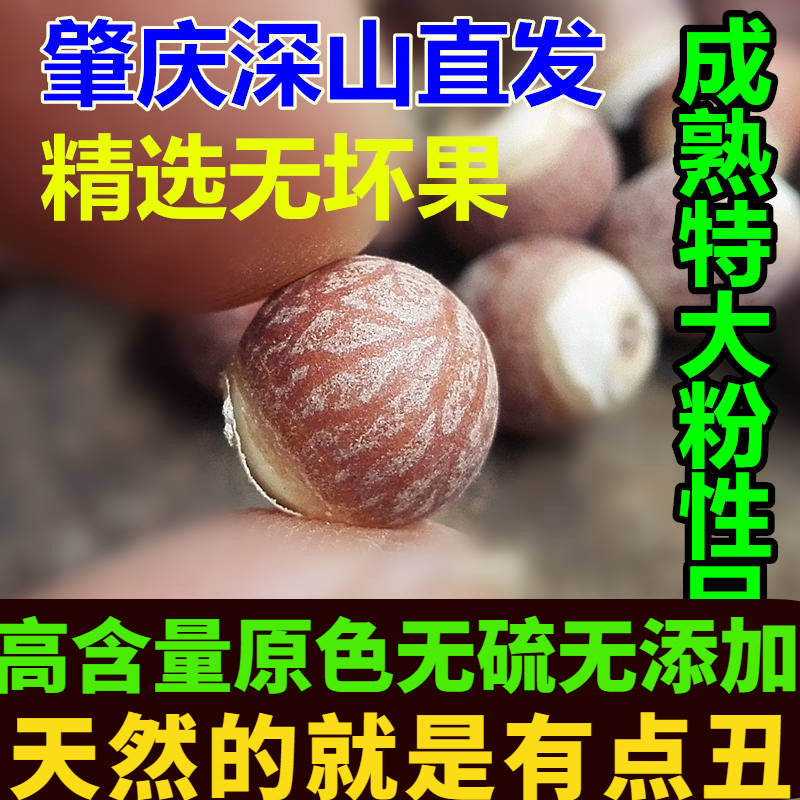 成熟特级野生肇庆芡实肇实500克 茨实鸡头米 可搭配淮山药薏米