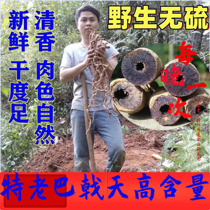 肇庆高要野生巴戟天深山现挖特级鸡肠风中药材古法九晒新鲜干货