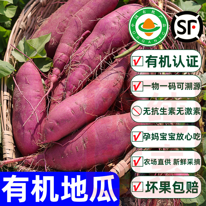 纯素食有机认证地瓜黄心番薯