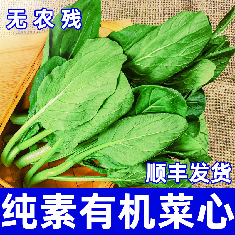 有机菜心新鲜当季现摘顺丰现发油菜心鲜嫩脆甜时令蔬菜青菜沈佳农