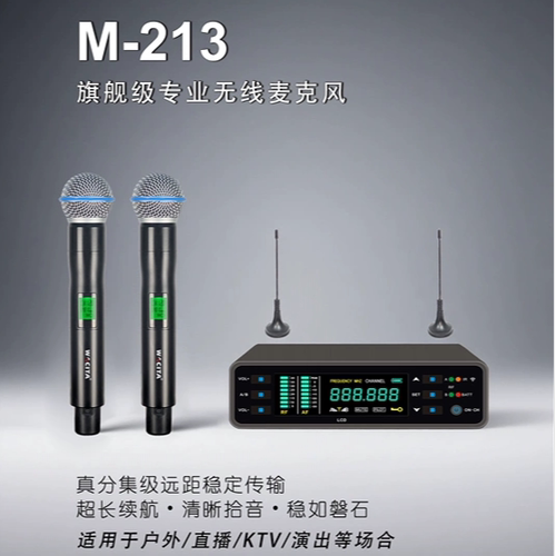 WACITA威思格专业演出/KTV一拖二无线麦克风话筒真分集级M-213