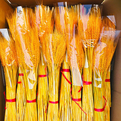 干花小麦天然黄金麦穗开业花篮装饰礼品拍摄道具真花插花大麦金色