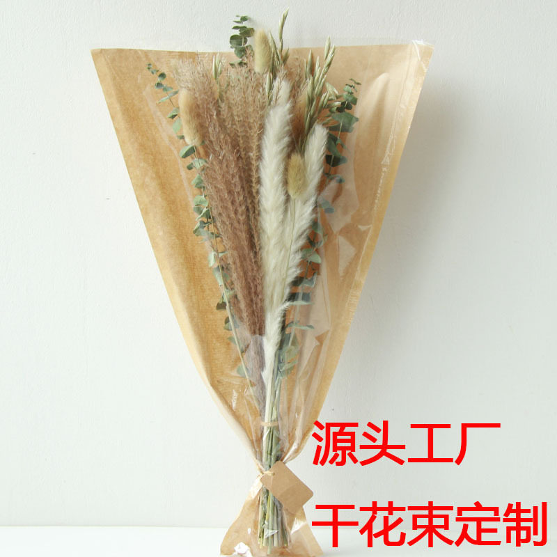 昆明狂想者工厂小芦苇兔尾草拂尘
