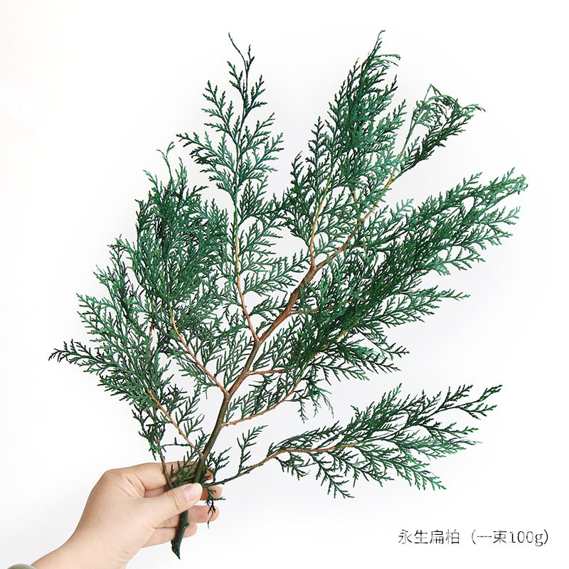 狂想者永生扁柏松柏枝真花圣诞装