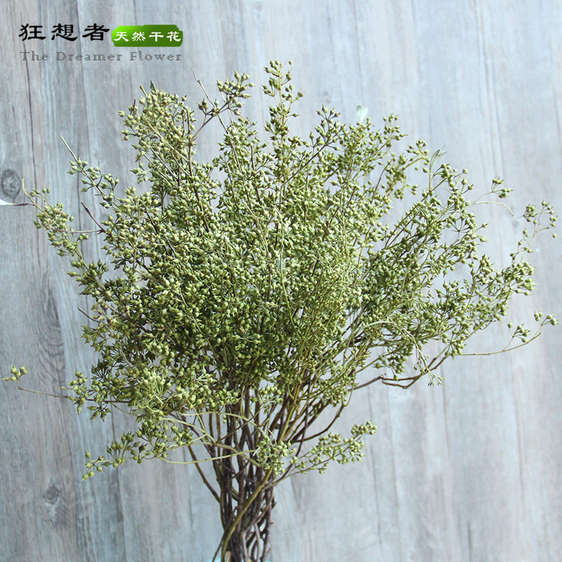 狂想者小米果森系自然干花真花枝