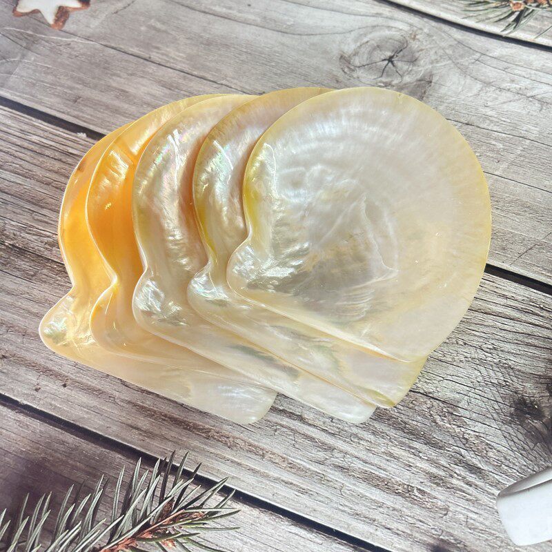 深海珍珠贝抛光黄碟贝贝壳盘子鱼子酱碟子餐厅调味碟黑碟贝装饰品