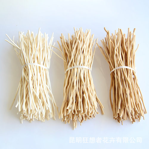 狂想者新品【挥发棒专用龙柳树枝