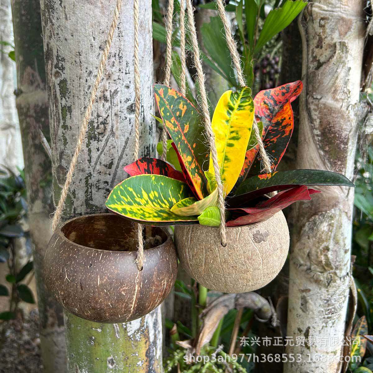 天然椰子吊篮椰壳花盆椰子壳手工打磨花篮植物盆栽容器田园艺餐厅