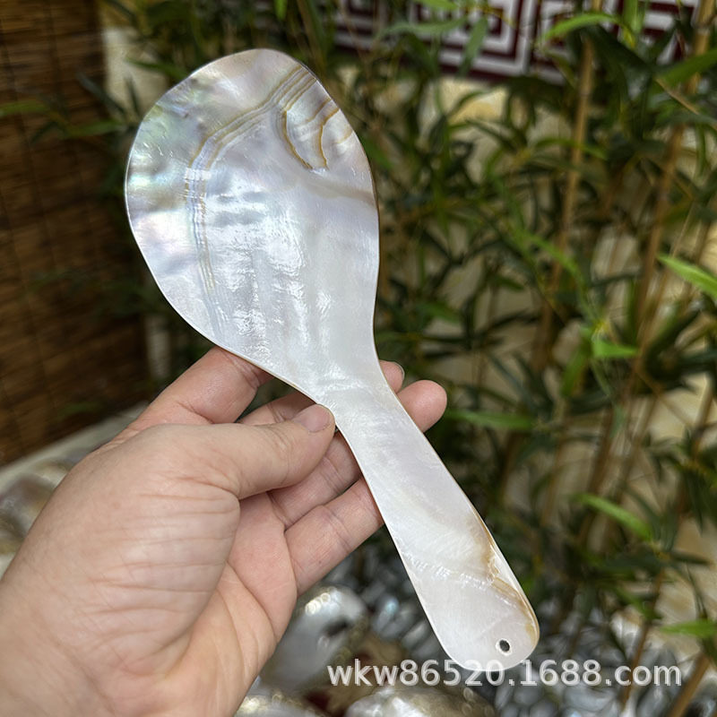 天然彩贝贝壳一体饭勺无漆无蜡无涂层耐高温家用耐用款贝壳饭勺