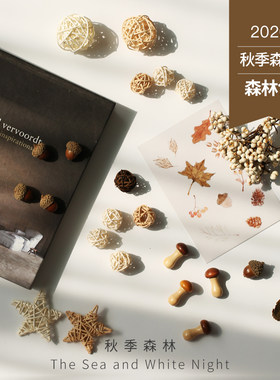 饰品拍摄摆拍秋天森林系藤球ins