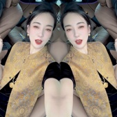 新中式 国风立领提花双面穿马甲女2025年夏季 复古马夹坎肩上衣女潮