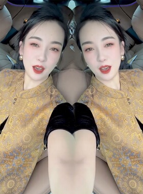 新中式国风立领提花双面穿马甲女2025年夏季复古马夹坎肩上衣女潮