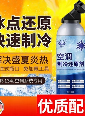 汽车载空调制冷剂R134a雪种冷媒快速降温氟利昂还原剂小轿车加氟