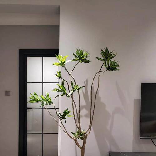 无大型北欧风绿植净化空气除甲醛