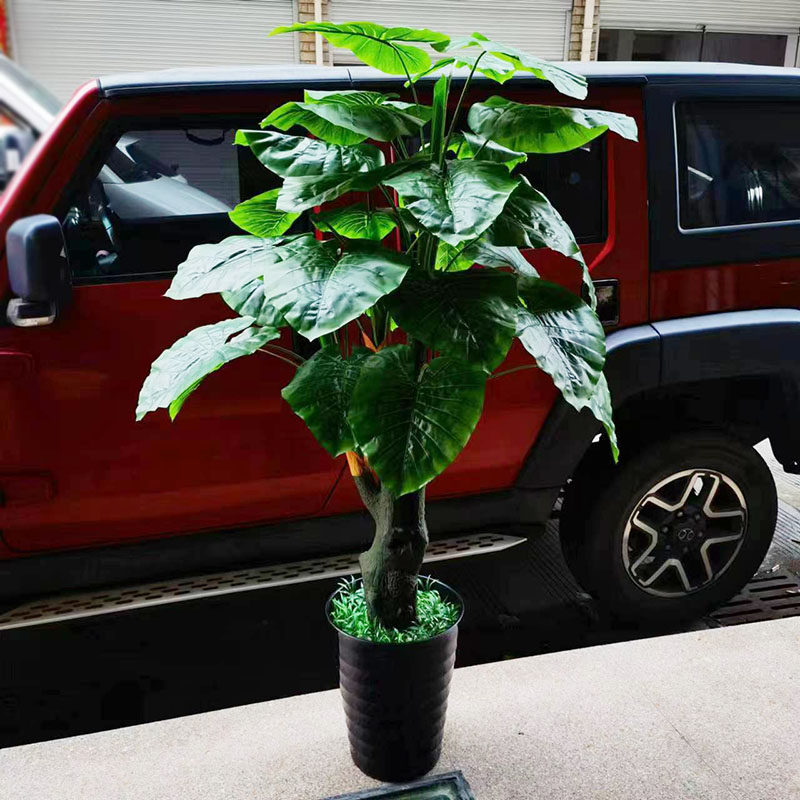 仿真植物滴水观音/绿萝落地客厅装饰塑料假花假树室内绿植物盆景