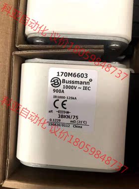 巴斯曼快速熔断器170M6603 全新带包装，现货