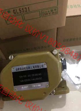 GL5531，GL5102,GL5100,GL5193重载型