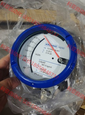 KROHNE流量计 H250/RR1/M40/Esk4/Ex