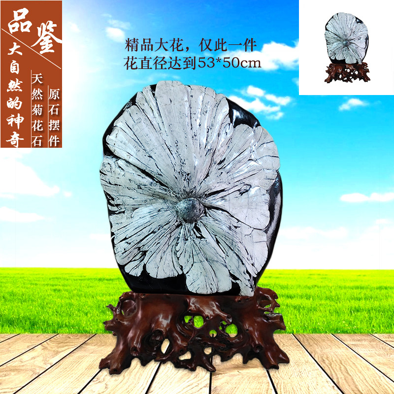 玄关奇石天然菊花石艺术